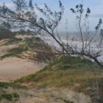 Licitação para estudo...