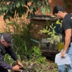 Ferros-velhos passam por...