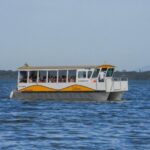 FerryBoat registra cerca...