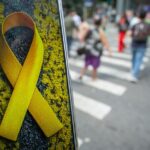 MAIO AMARELO: O...