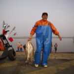 Pesca do Maior...