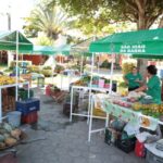 Feira da Roça...