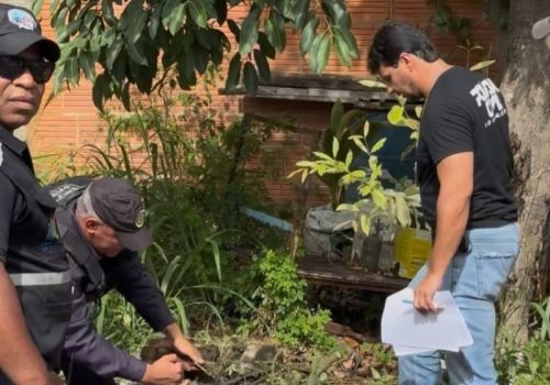 17080_277856c7060e56ccd311c6f1e80d1eee