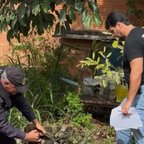 17080_277856c7060e56ccd311c6f1e80d1eee