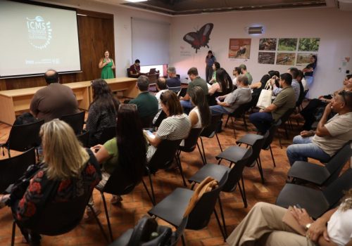 17124_937352893bc356c8b4ea553a2a2ff114