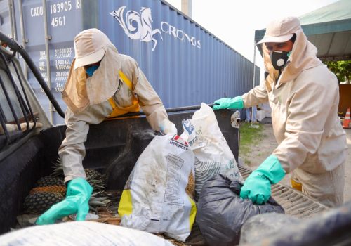 2 - WhatsApp Image 2025-12-09 at 21.59.14