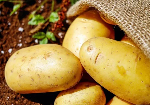 BATATA