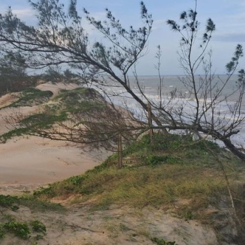 destaque_cropped_17028_bcd6cfd50404cbce16cc708516aae86a