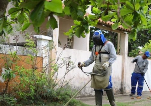 destaque_cropped_17104_99db3f808b9316f831389317ae5db5c0