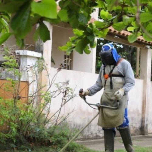 destaque_cropped_17104_99db3f808b9316f831389317ae5db5c0