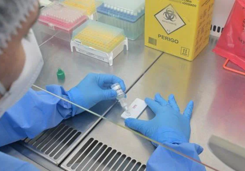 hantavirus-fiocruz