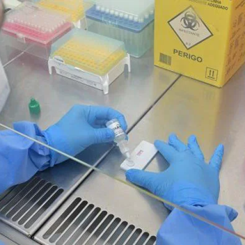 hantavirus-fiocruz